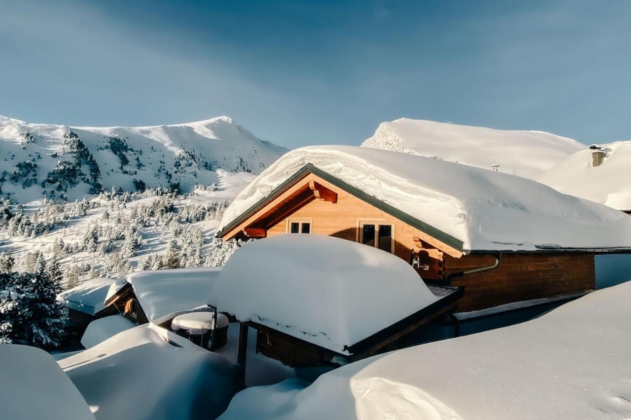 Heidi Chalets Falkert Heidialm - Chalets Bergwinter Патергассен Экстерьер фото